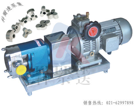 LQ3A不锈钢转子泵带转子D.jpg
