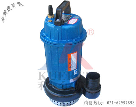 QS潜水电泵D.jpg
